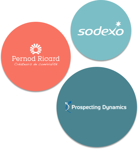 Our clients - Pernod Ricard, Sodexo, Prospecting Dynamics
